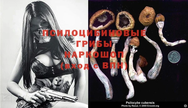 2c-b Балахна