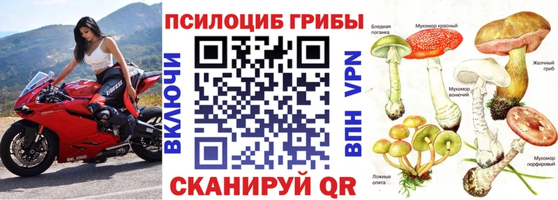 Галлюциногенные грибы Cubensis  Топки 